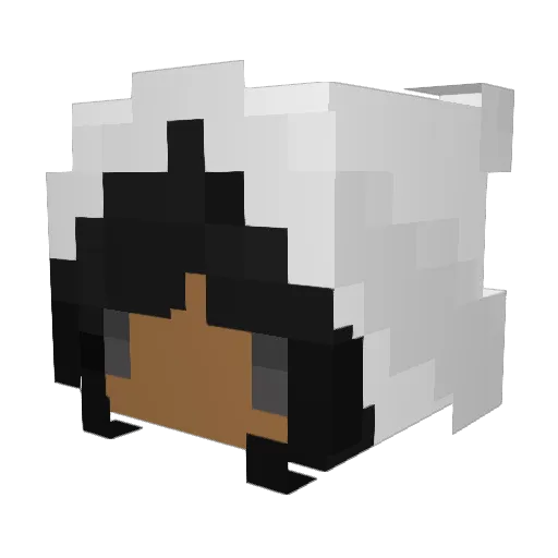nanukkari Minecraft avatar head, 3D render