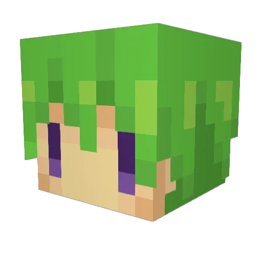nao770 Minecraft avatar head, 3D render