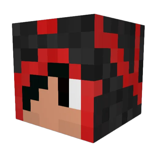 naoki1216 Minecraft avatar head, 3D render