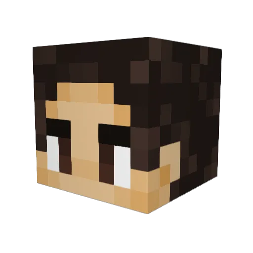 naoki914 Minecraft avatar head, 3D render
