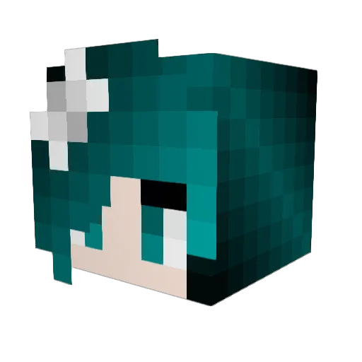 naopeidaxxx Minecraft avatar head, 3D render