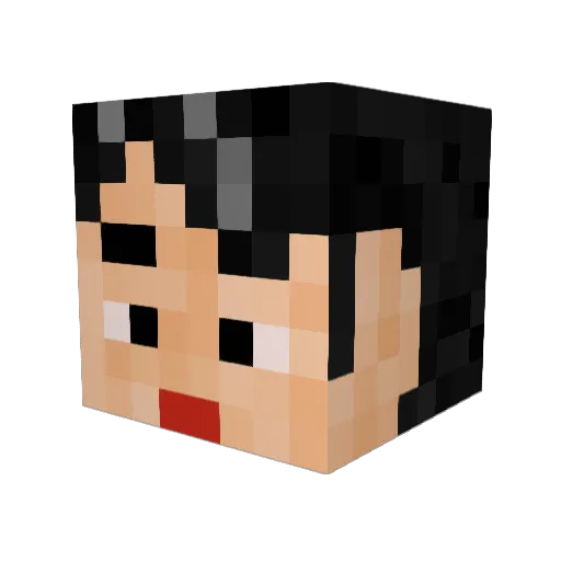 naotoge5 Minecraft avatar head, 3D render