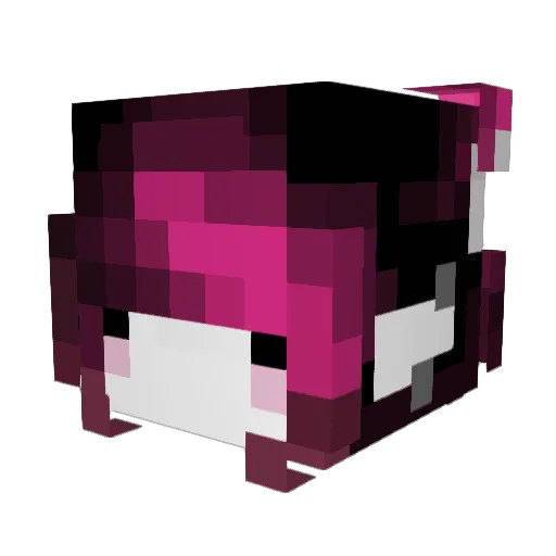 naoworshipper Minecraft avatar head, 3D render
