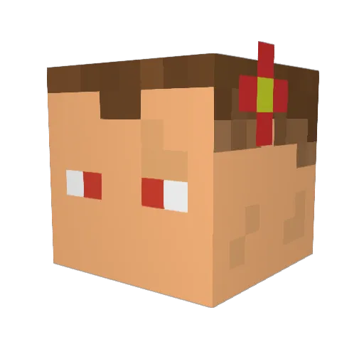 naox3735 Minecraft avatar head, 3D render