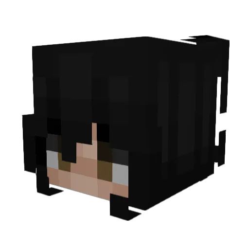 naoxme Minecraft avatar head, 3D render