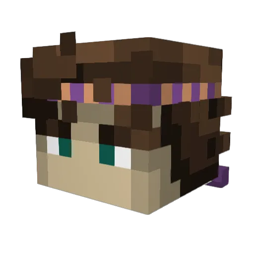 napalm2401 Minecraft avatar head, 3D render