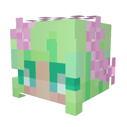 naparak01 Minecraft avatar head, 3D render
