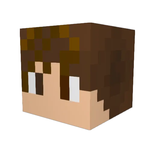 napiir Minecraft avatar head, 3D render
