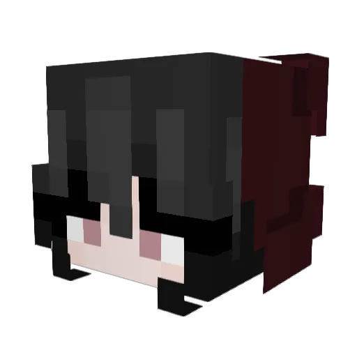 nappi05 Minecraft avatar head, 3D render