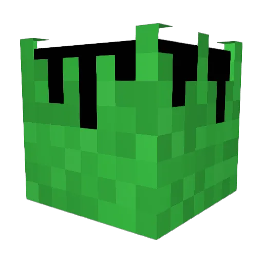 nappleninja Minecraft avatar head, 3D render