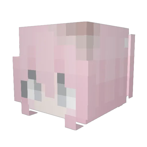 naps Minecraft avatar head, 3D render