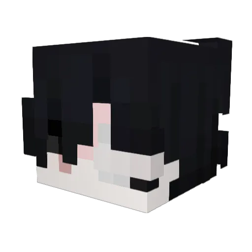 napthrill Minecraft avatar head, 3D render