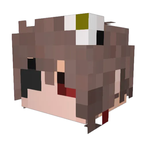 nar1kawa Minecraft avatar head, 3D render