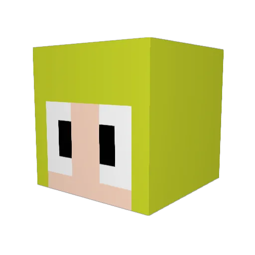 nara100 Minecraft avatar head, 3D render