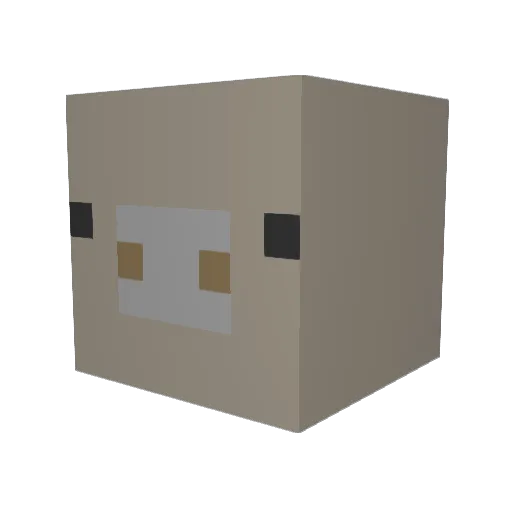 narajac Minecraft avatar head, 3D render