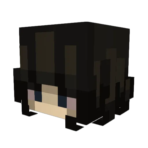 narbs__ Minecraft avatar head, 3D render