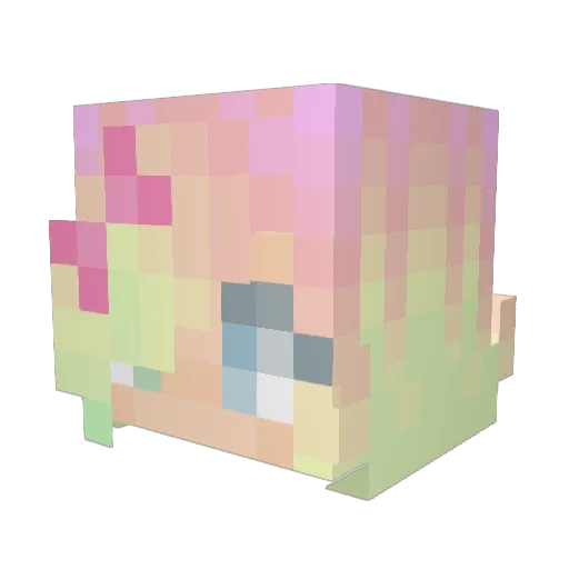 narcnallstar Minecraft avatar head, 3D render