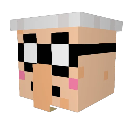 narf24 Minecraft avatar head, 3D render