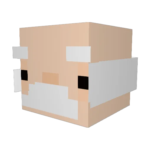 narim_05 Minecraft avatar head, 3D render