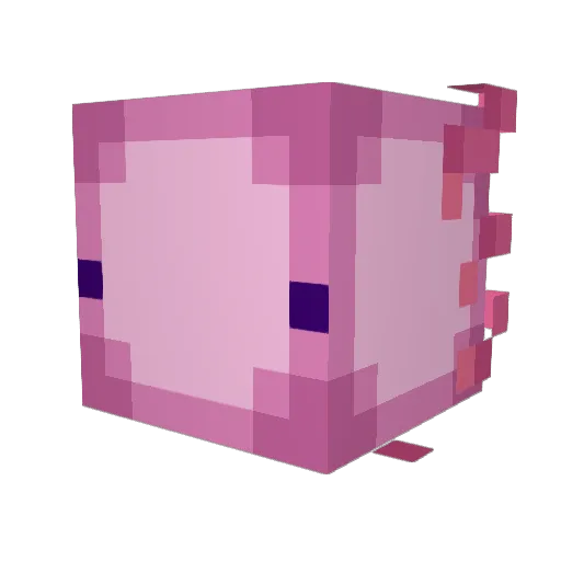 narismuhh Minecraft avatar head, 3D render