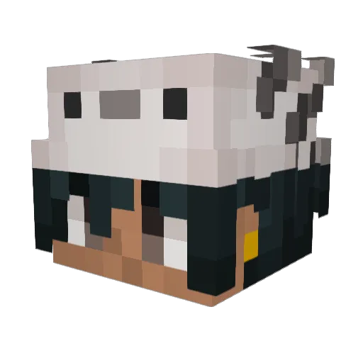 narizMCPE Minecraft avatar head, 3D render
