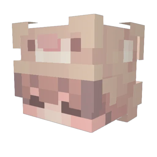 narkaiden Minecraft avatar head, 3D render
