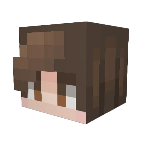 narkiCZ Minecraft avatar head, 3D render