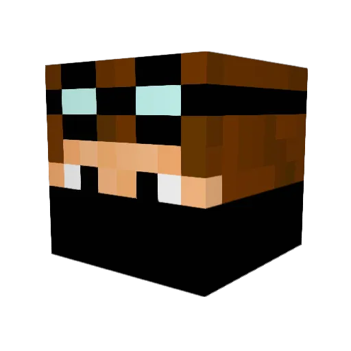 narlytaco Minecraft avatar head, 3D render