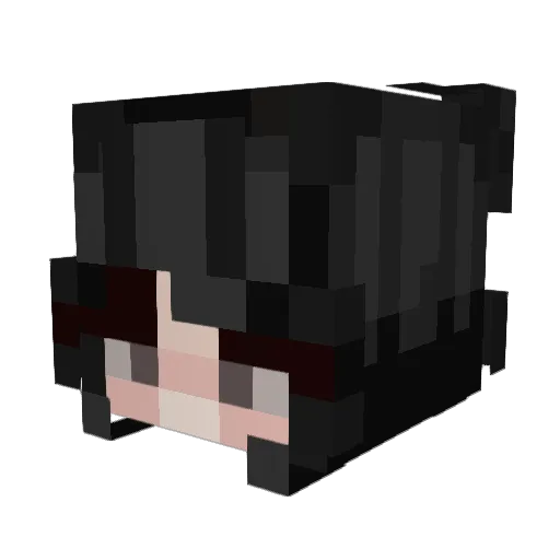 naroyaa Minecraft avatar head, 3D render