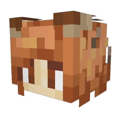 narpys Minecraft avatar head, 3D render