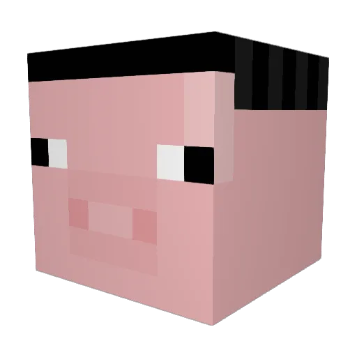 narwalz Minecraft avatar head, 3D render