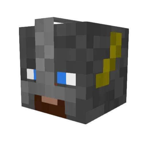 narwhalassassin9 Minecraft avatar head, 3D render