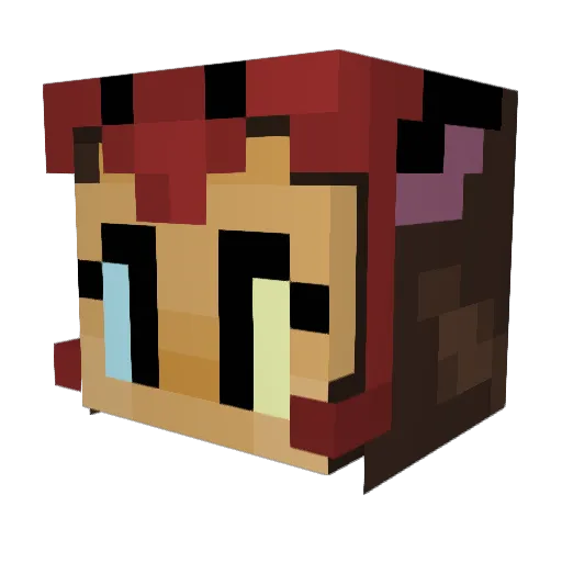 narwhale220 Minecraft avatar head, 3D render