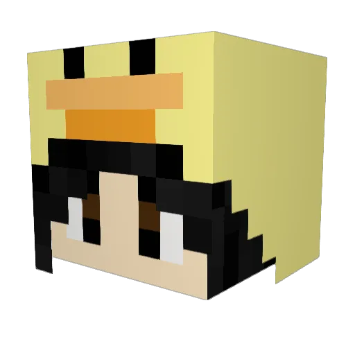 narwhalienZ Minecraft avatar head, 3D render