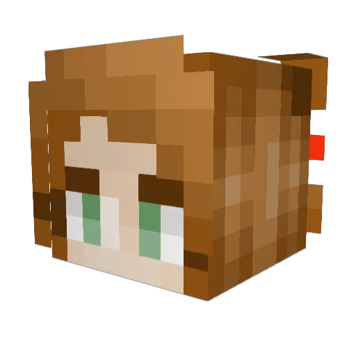 narwhalnerd26 Minecraft avatar head, 3D render