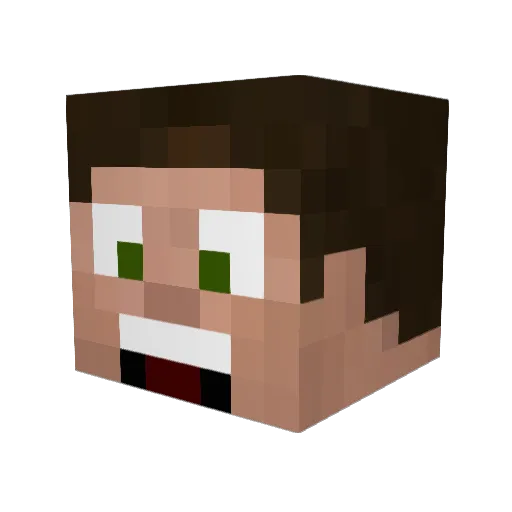 narwhalorder Minecraft avatar head, 3D render