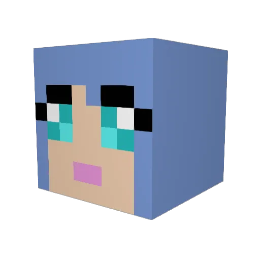 nasacat369 Minecraft avatar head, 3D render