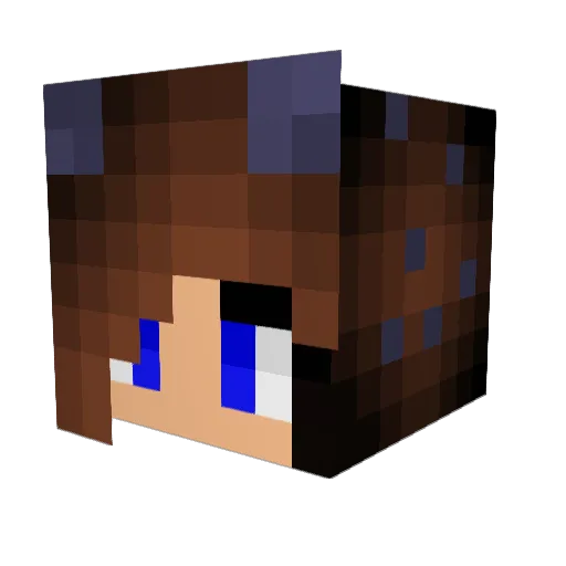 nascargirl4 Minecraft avatar head, 3D render