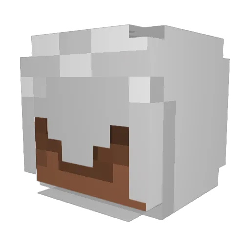 nascasho Minecraft avatar head, 3D render