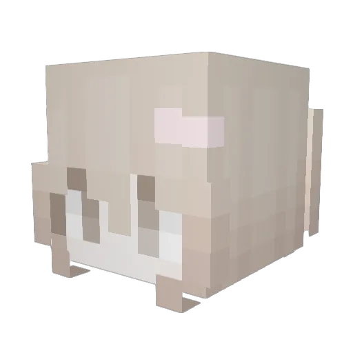nash401 Minecraft avatar head, 3D render