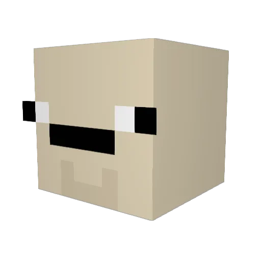 nashnas Minecraft avatar head, 3D render