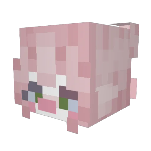 nashuan12 Minecraft avatar head, 3D render
