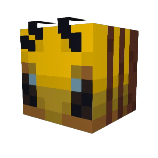 nasiibee Minecraft avatar head, 3D render