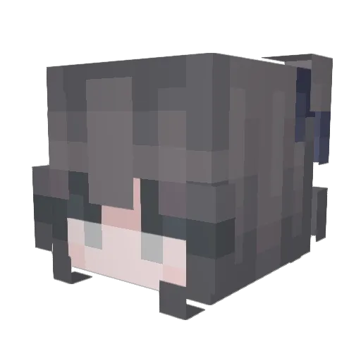 nasomig Minecraft avatar head, 3D render