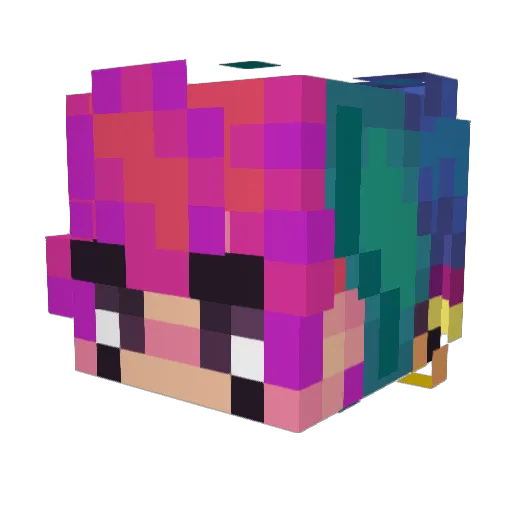 nasso224 Minecraft avatar head, 3D render