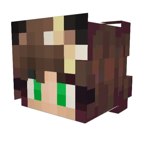 nastyarrrrrr Minecraft avatar head, 3D render