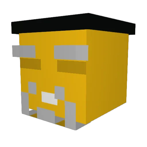 nastyfox5362 Minecraft avatar head, 3D render