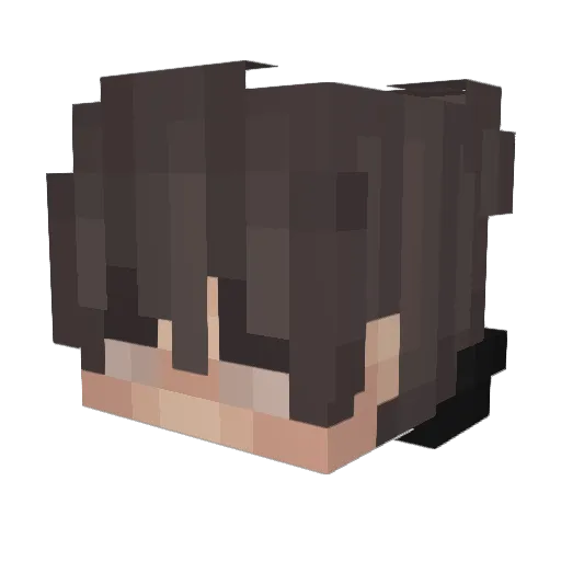 nastynib Minecraft avatar head, 3D render