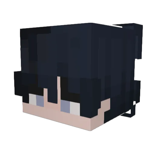 naswaii Minecraft avatar head, 3D render