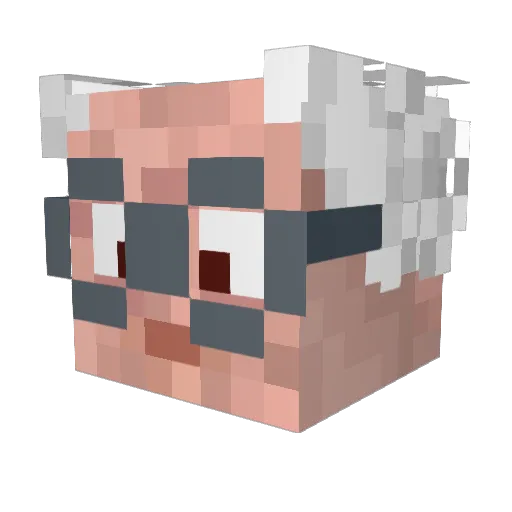 nat900 Minecraft avatar head, 3D render